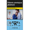 CAMEL LEGEND 100 BLUE 20,99
